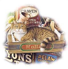 Gatto 7
